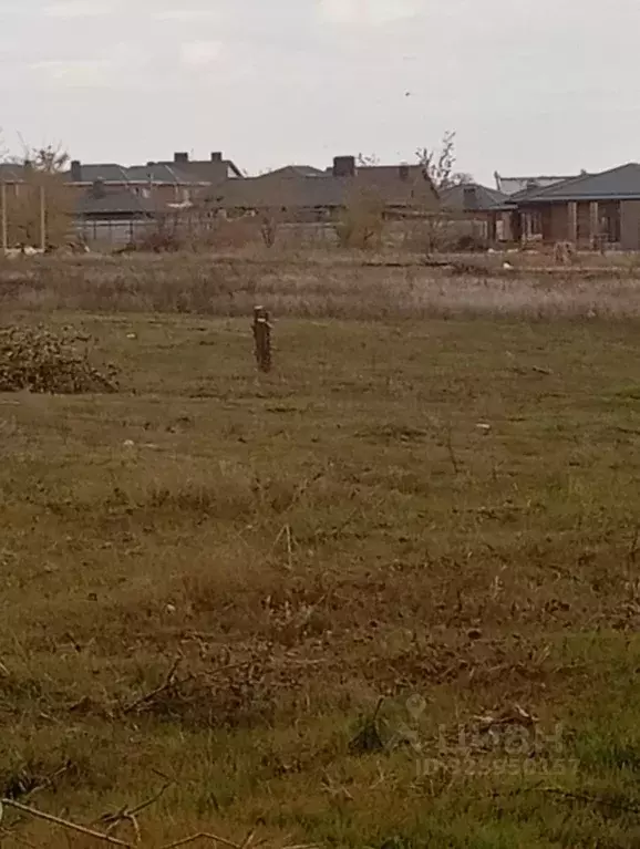 Участок в Ростовская область, Мясниковский район, Краснокрымское ... - Фото 2