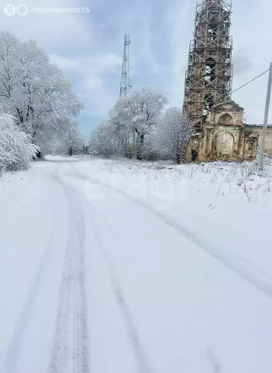 Участок в Ярославская область, Некрасовский муниципальный округ, село ... - Фото 2