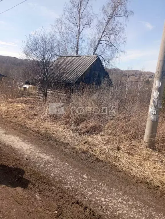 Участок в Новосибирская область, Новосибирский район, Барышевский ... - Фото 1