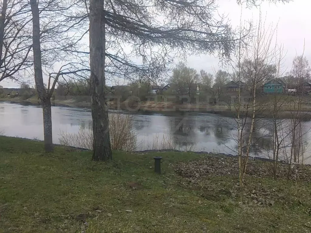 Участок в Новгородская область, Боровичский район, Опеченское с/пос, ... - Фото 0