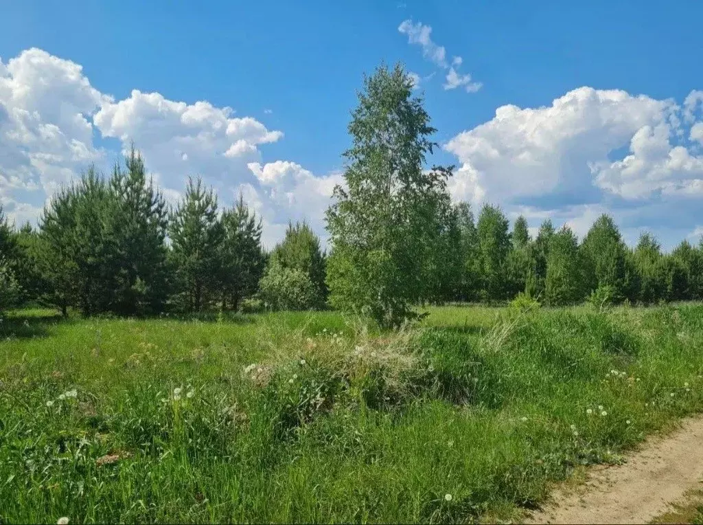 Участок в Челябинская область, Каслинский муниципальный округ, с. ... - Фото 2