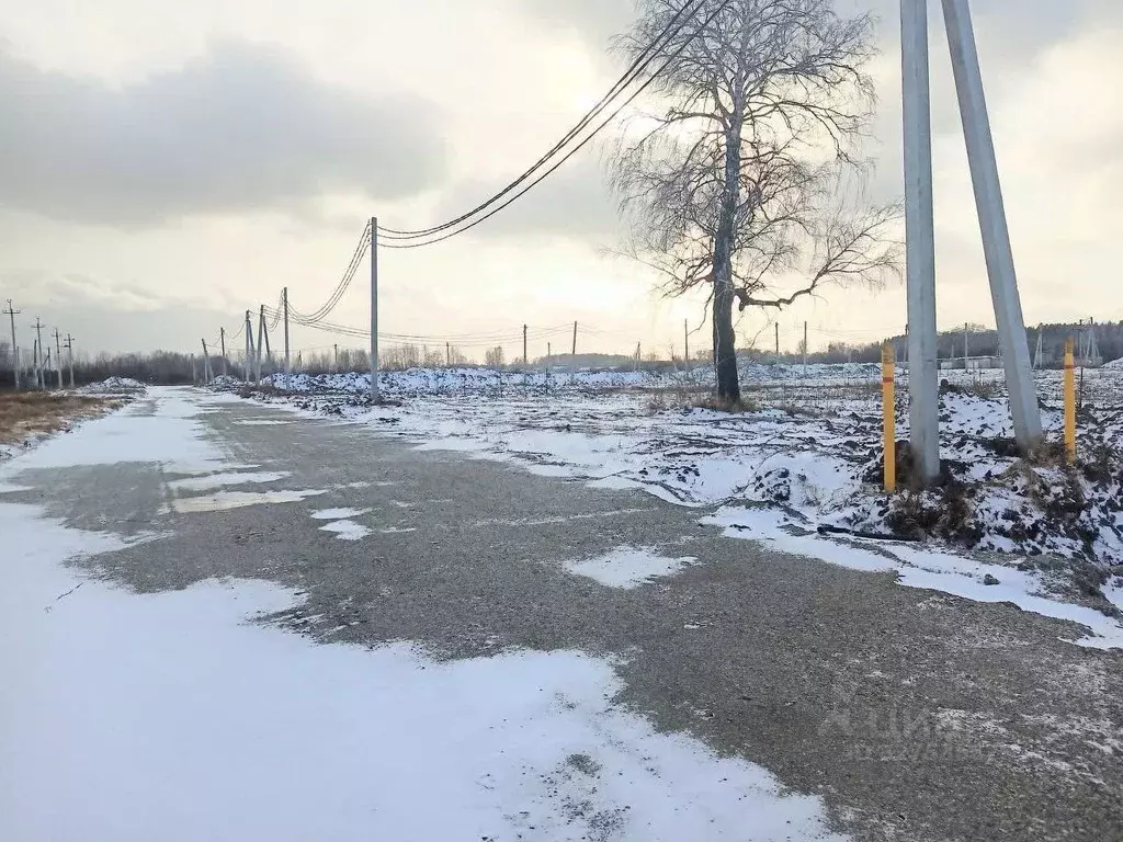 Участок в Новосибирская область, Новосибирский район, Кудряшовский ... - Фото 1