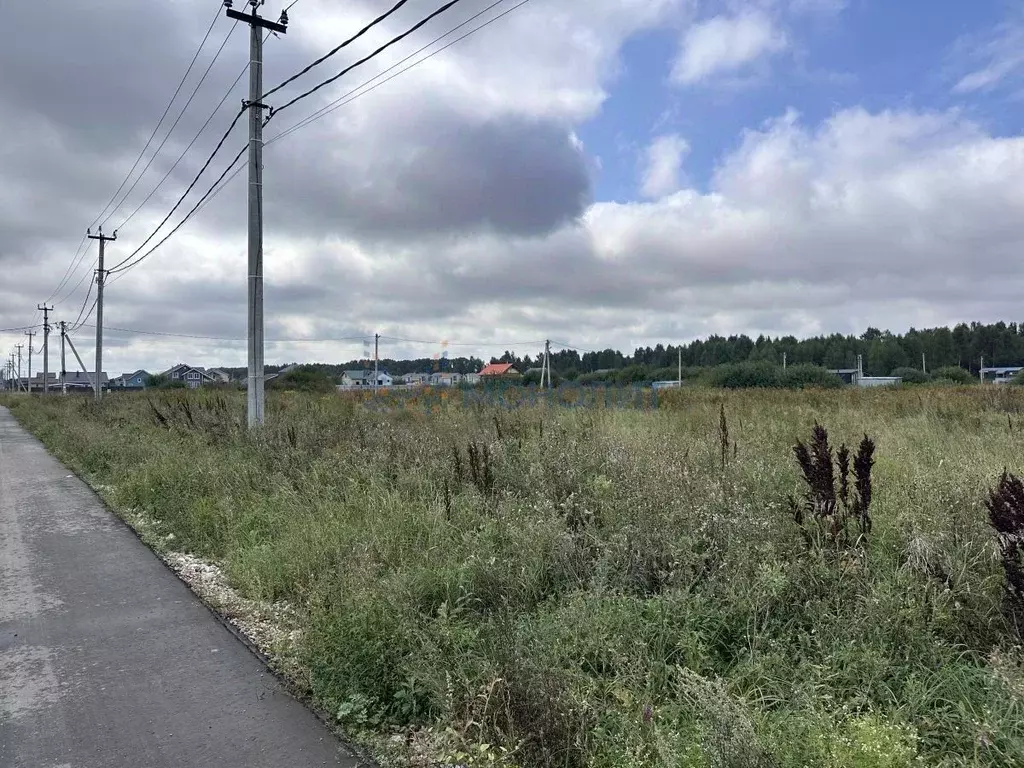 Участок в Нижегородская область, Богородский муниципальный округ, д. ... - Фото 2