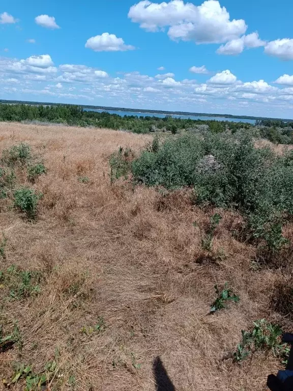 Дом в Волгоградская область, Светлый Яр рп ул. Советская, 218 (79 м) - Фото 1