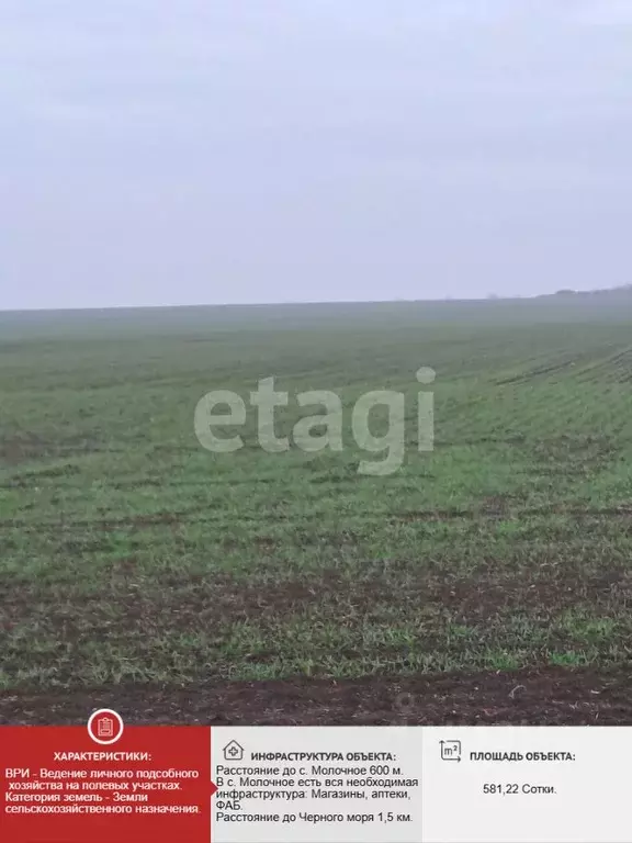 Участок в Крым, Сакский район, с. Молочное  (581.22 сот.) - Фото 1