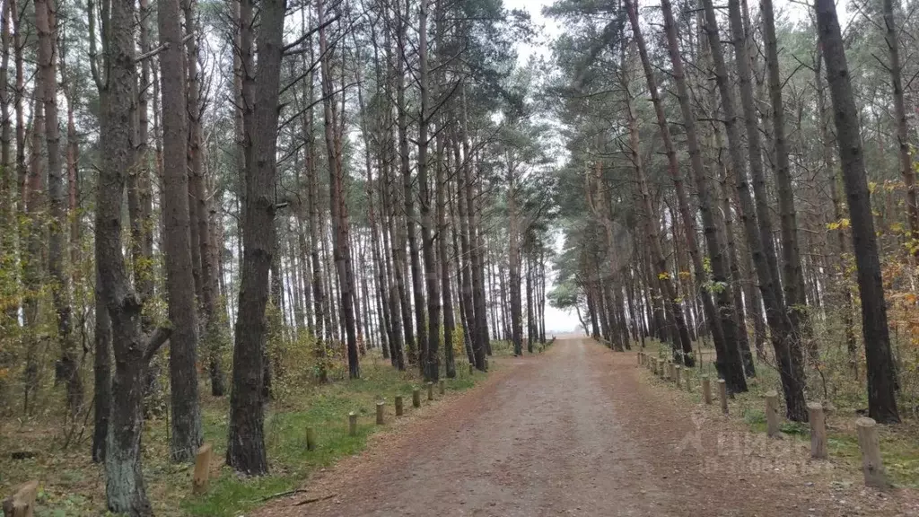 4-к кв. Калининградская область, Калининград Прибрежный мкр, ул. ... - Фото 2