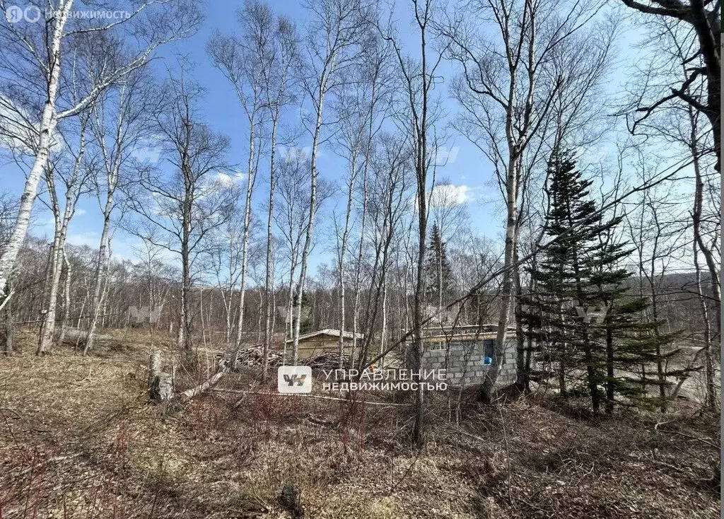 Участок в Южно-Сахалинск, СНТ Изыскатель, улица Алексея Колюбакина ... - Фото 1