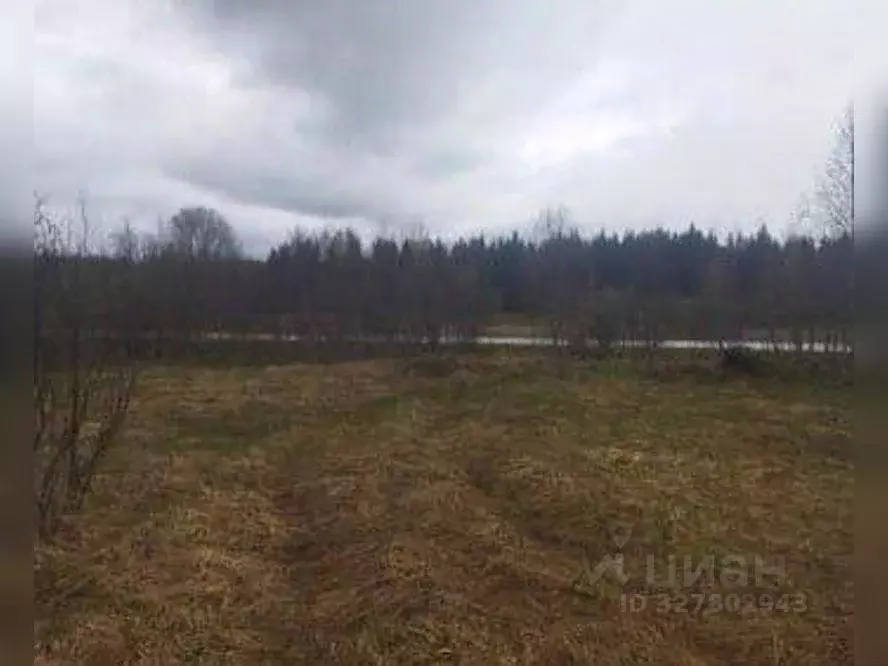 Участок в Ленинградская область, Бокситогорский район, Лидское с/пос, ... - Фото 1