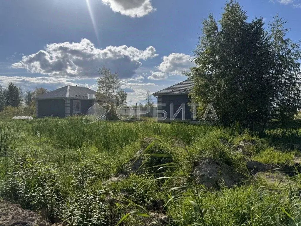 Участок в Тюменская область, Тюменский муниципальный округ, с. ... - Фото 2