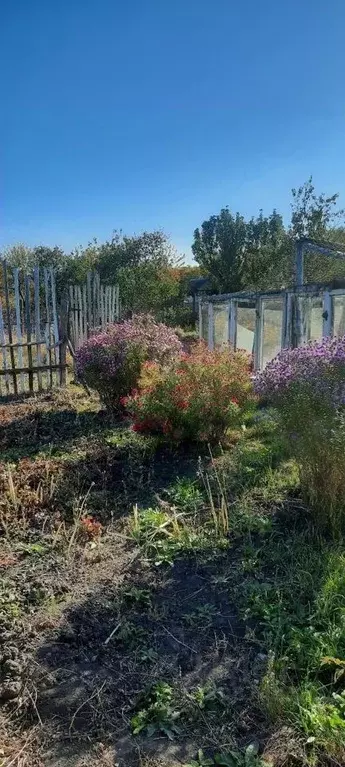 Дом в Белгородская область, Старооскольский городской округ, с. ... - Фото 1