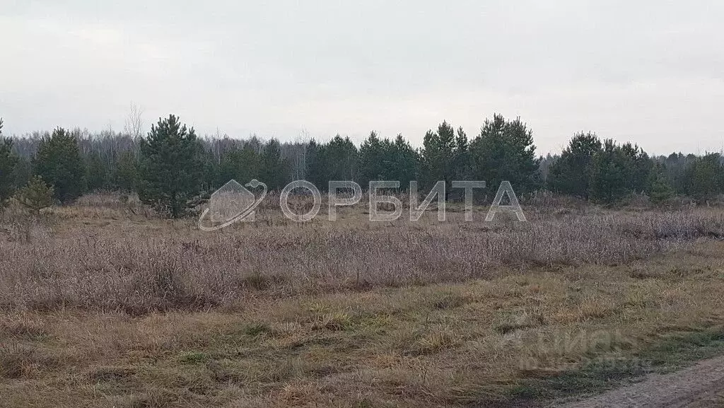 Участок в Тюменская область, Тюменский район, д. Речкина  (660.0 сот.) - Фото 0