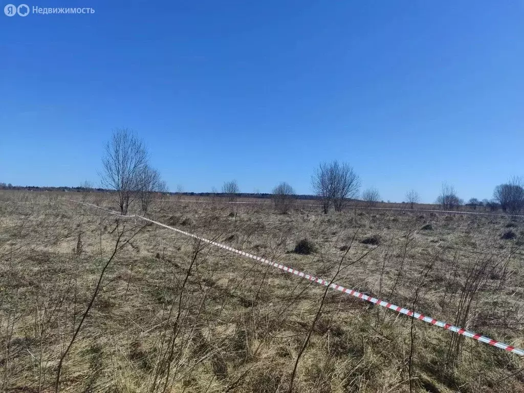 Участок в Ленинградская область, Гатчинский муниципальный округ, ... - Фото 1