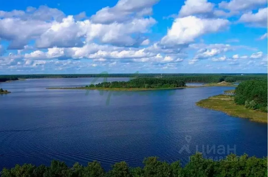 Участок в Тверская область, Осташковский муниципальный округ, д. Гуща  ... - Фото 1