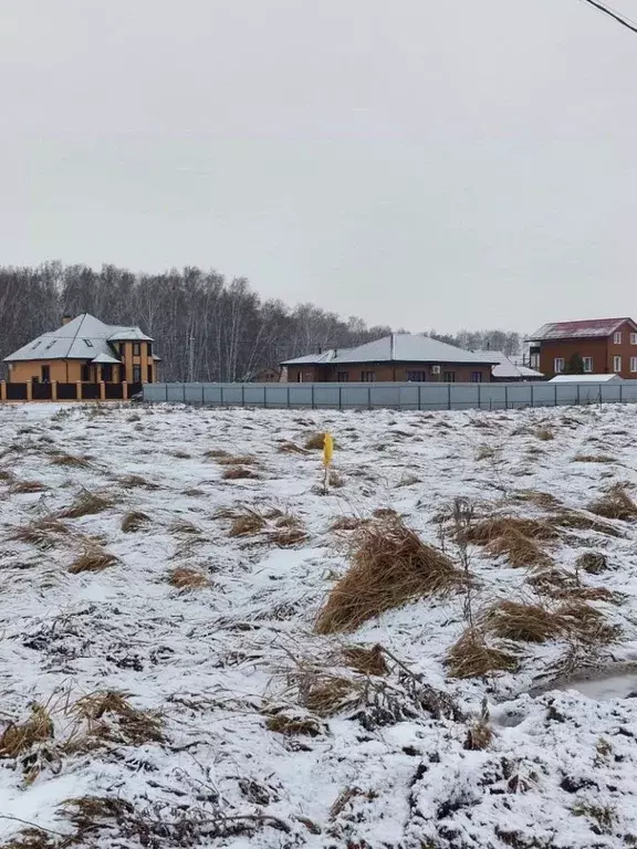 Участок в Омская область, Омский район, Пушкинское с/пос, д. Ракитинка ... - Фото 1