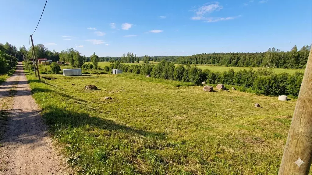 Участок в Ленинградская область, Приозерский район, Громовское с/пос, ... - Фото 1