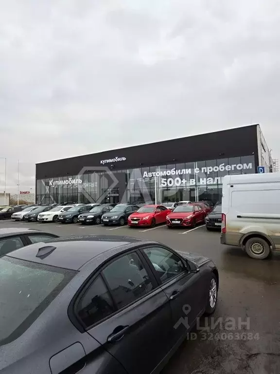 Помещение свободного назначения в Ленинградская область, Кудрово г. ... - Фото 1