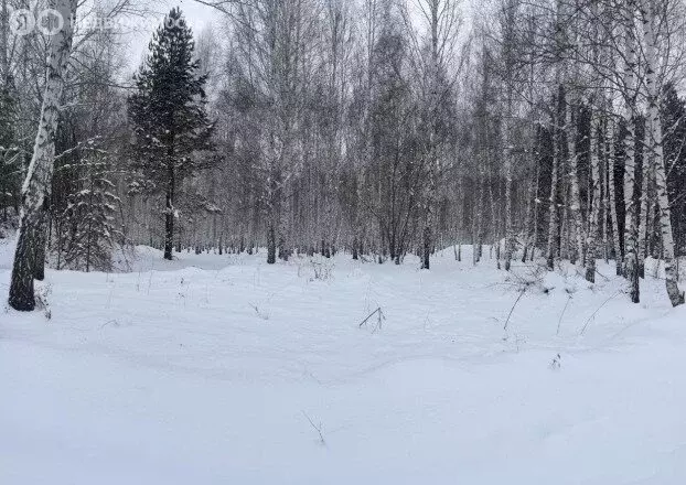 Участок в село Морозово, Солнечная улица, 10 (15 м) - Фото 0