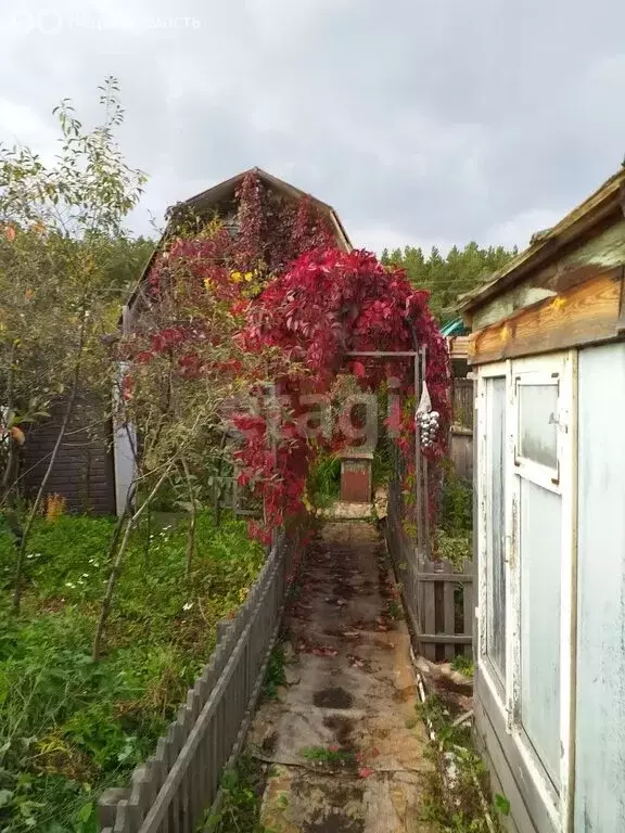 Дом в Курганская область, Кетовский муниципальный округ, садоводческое ... - Фото 0
