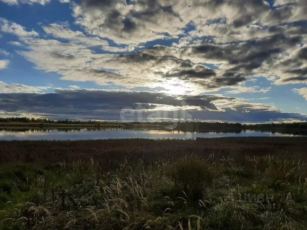 Участок в Псковская область, Палкинский район, Новоуситовская волость, ... - Фото 1