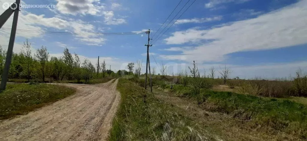 Участок в Тюменский район, село Борки (68.7 м) - Фото 1