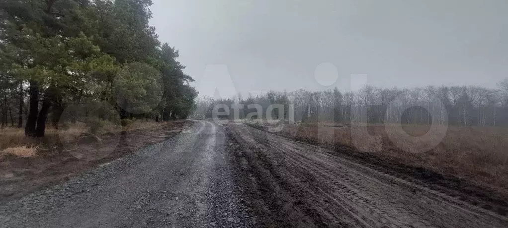 Участок 17,7 сот. (ИЖС) - Фото 0