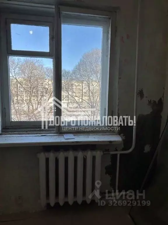 1-к кв. Хакасия, Абакан ул. Маршала Жукова, 78 (30.2 м) - Фото 2