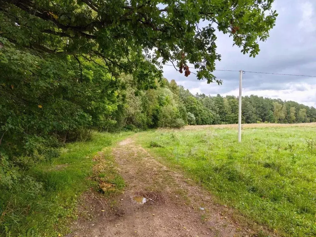 Участок в Московская область, Серпухов городской округ, д. Дернополье  ... - Фото 2