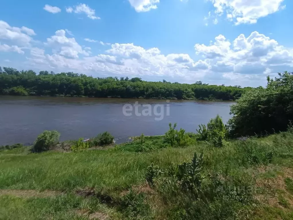 Участок в Воронежская область, с. Семилуки ул. Просторная (10.0 сот.) - Фото 1