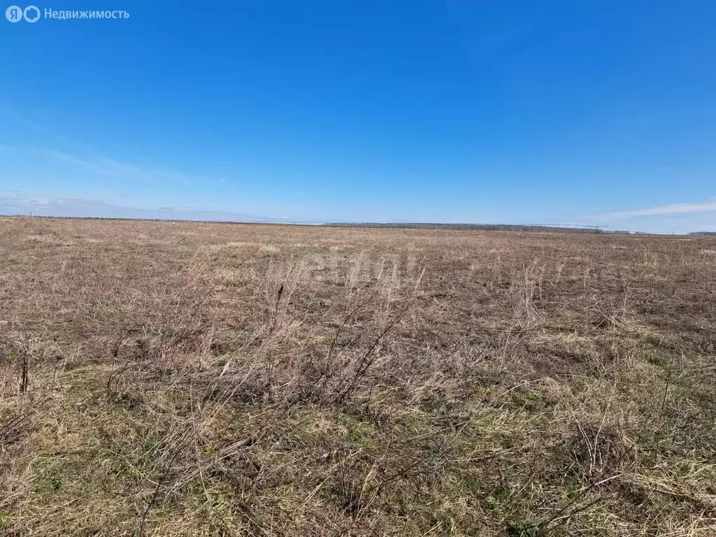 Участок в Московская область, городской округ Луховицы, деревня ... - Фото 1