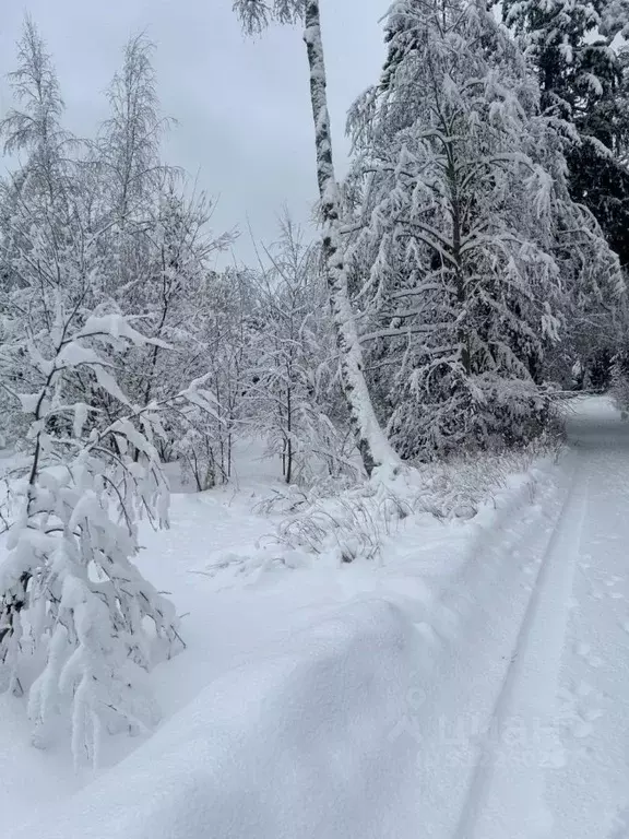 Участок в Санкт-Петербург, Санкт-Петербург, Зеленогорск ул. 1-я ... - Фото 0