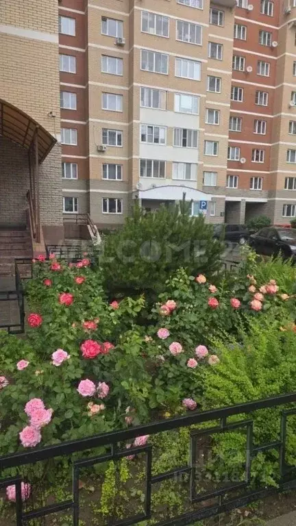 3-к кв. Московская область, Ногинск Богородский городской округ, ... - Фото 2