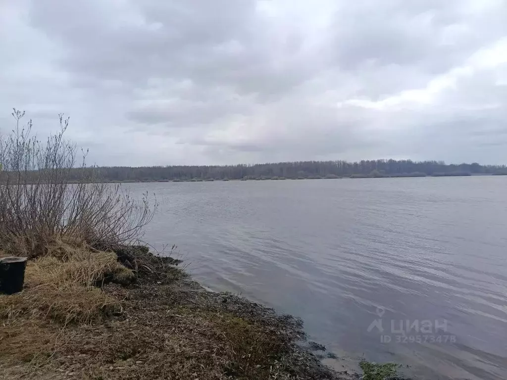 Участок в Новгородская область, Шимское городское поселение, д. Бор ... - Фото 1