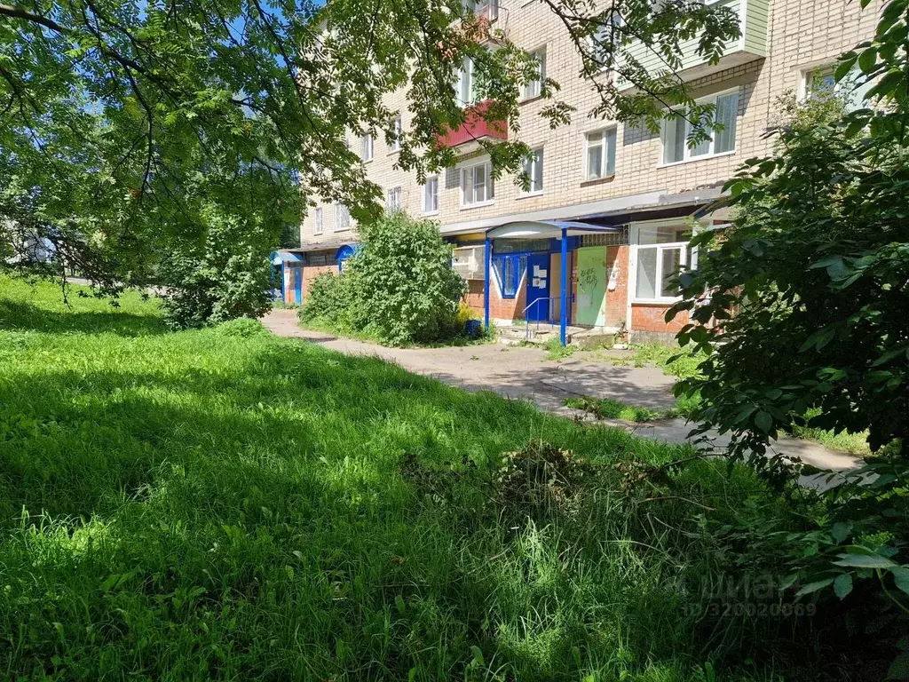 Помещение свободного назначения в Владимирская область, Кольчугино ул. ... - Фото 0