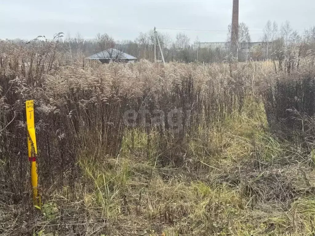 Участок в Брянская область, Брянский район, Снежское с/пос, с. ... - Фото 2