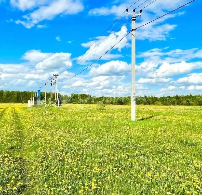Участок в Тюменская область, Тюменский район, с. Горьковка Тепличная ... - Фото 0
