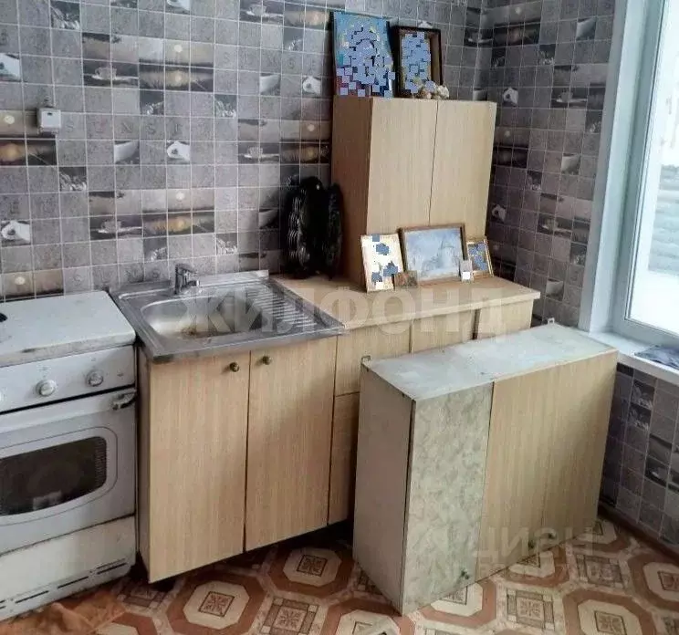 Дом в Новосибирская область, с. Венгерово ул. Колхозная (33 м) - Фото 2