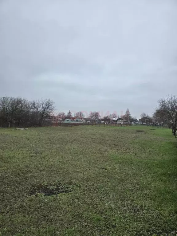 Участок в Ростовская область, Октябрьский район, Бессергеневское ... - Фото 1