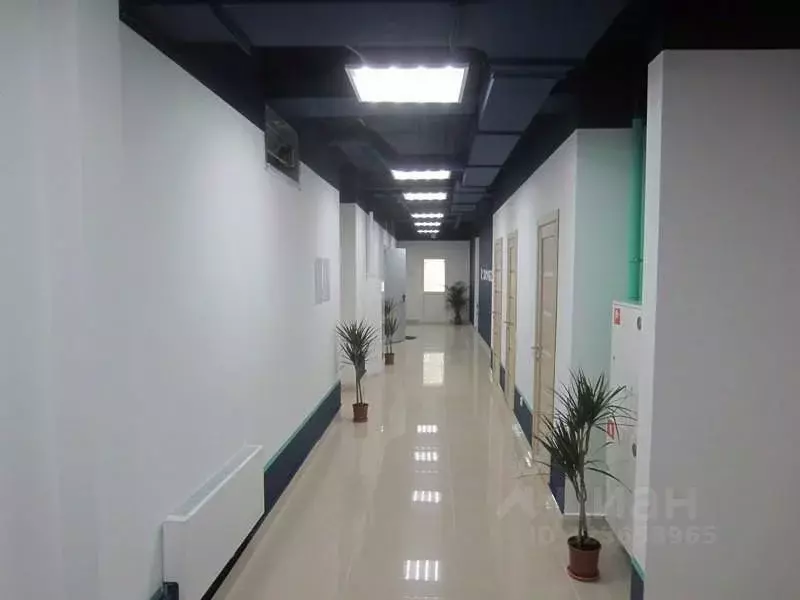 Офис в Нижегородская область, Нижний Новгород Ковровская ул., 21 (258 ... - Фото 1