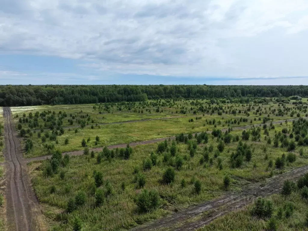 Участок в Тюменская область, Тюменский район, с. Луговое ул. ... - Фото 1