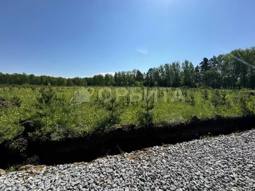 Участок в Тюменская область, Тюменский район, д. Ушакова Зеленая ул. ... - Фото 0
