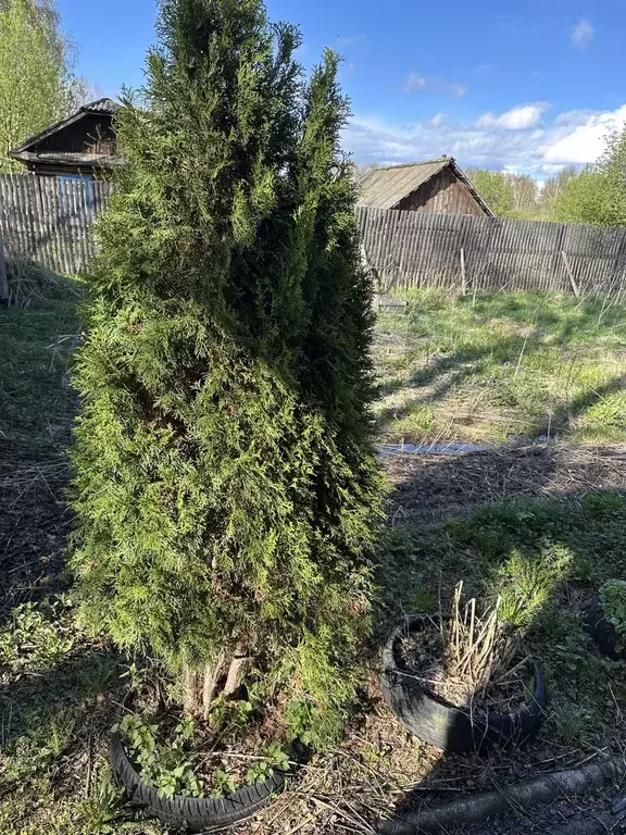 Продаётся 2-к квартира, 35 м - Фото 0