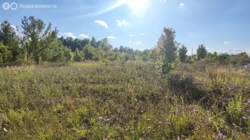 Участок в Пензенский район, Воскресеновский сельсовет, СНТ Малиновка ... - Фото 2