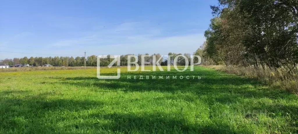 Участок в Ярославская область, Ярославский муниципальный округ, ... - Фото 1