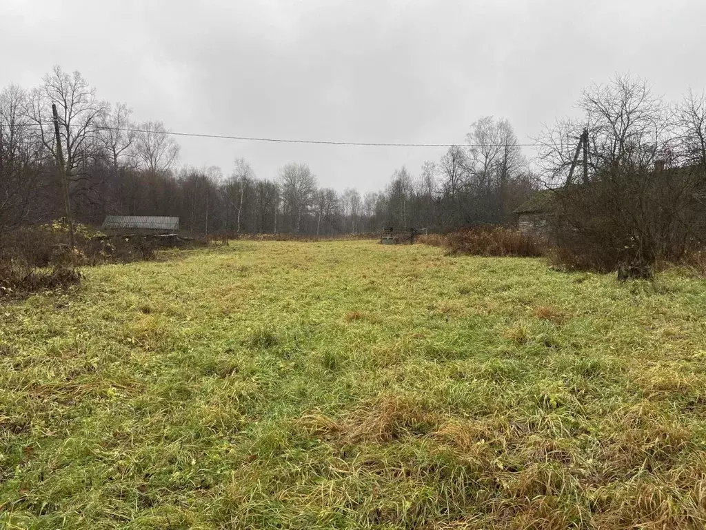 Участок в Калужская область, Тарусский муниципальный округ, д. Гурьево ... - Фото 2