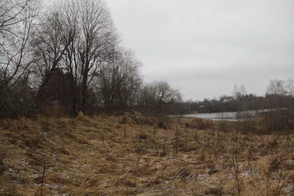 Участок в Московская область, Шаховская муниципальный округ, д. ... - Фото 1