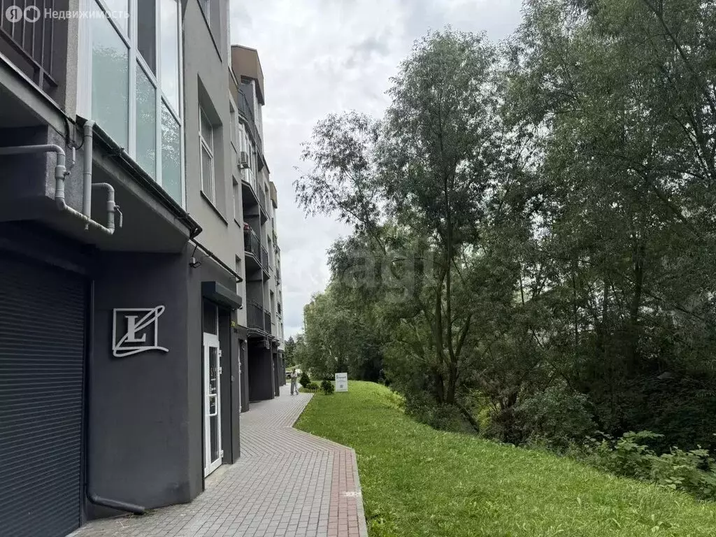 Офис (18.9 м) - Фото 2