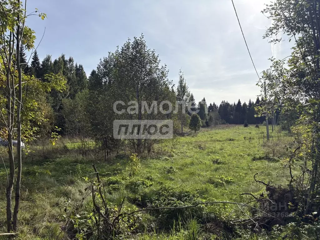 Участок в Вологодская область, д. Ерофейка  (14.0 сот.) - Фото 2