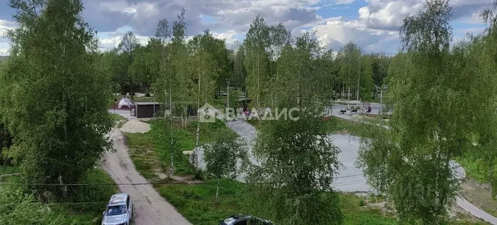 Студия Карелия, Сегежа Лесная ул., 3А (35.5 м) - Фото 1