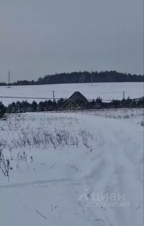 Участок в Иркутская область, Иркутский муниципальный округ, д. Ширяева ... - Фото 2
