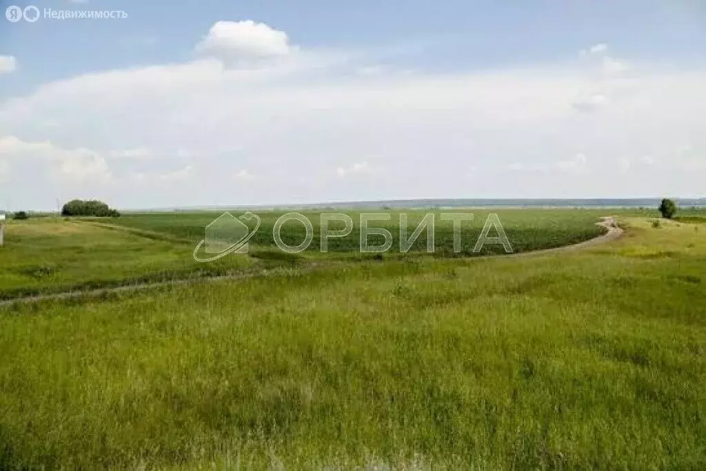 Участок в Тюменский муниципальный округ, деревня Коняшина (170 м) - Фото 2